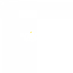 El Dinamo